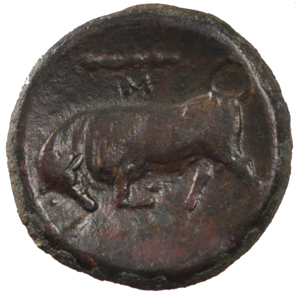Sicily, Hieron II (274-216 BC), Hemilitron, AU(55-58), Bronze, 5.23