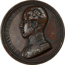 Francia, medaglia, Algérie / Belgique, Mort du Duc d'Orléans, 1842, Bronzo