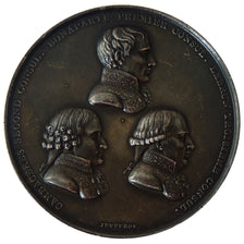 Consulat, Médaille promulgation du traité d'Amiens 1802