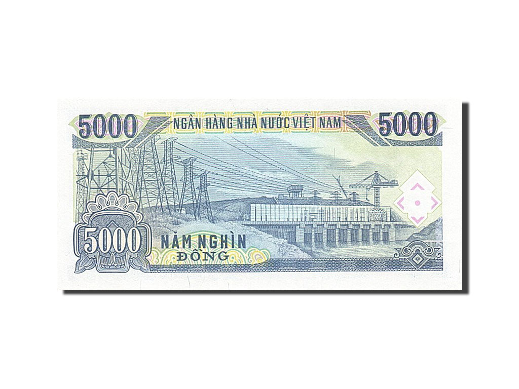 Banknote, Viet Nam, 5000 D<ox>ng, 1991, UNC(65-70)