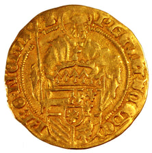 Belgium, Florin, Brugges, EF(40-45), Gold, Delmonte #510, 3.10