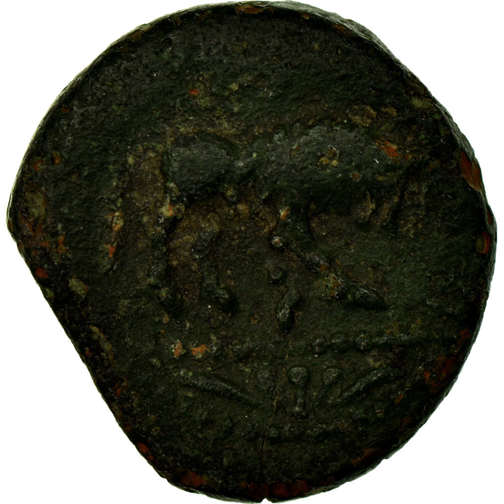 Münze, Santones, Bronze, S, Bronze