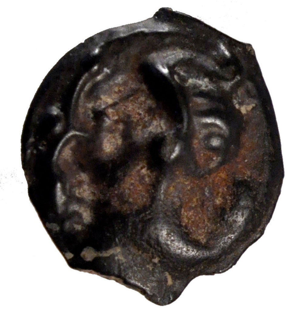 Haute et Moyenne Seine, Potin