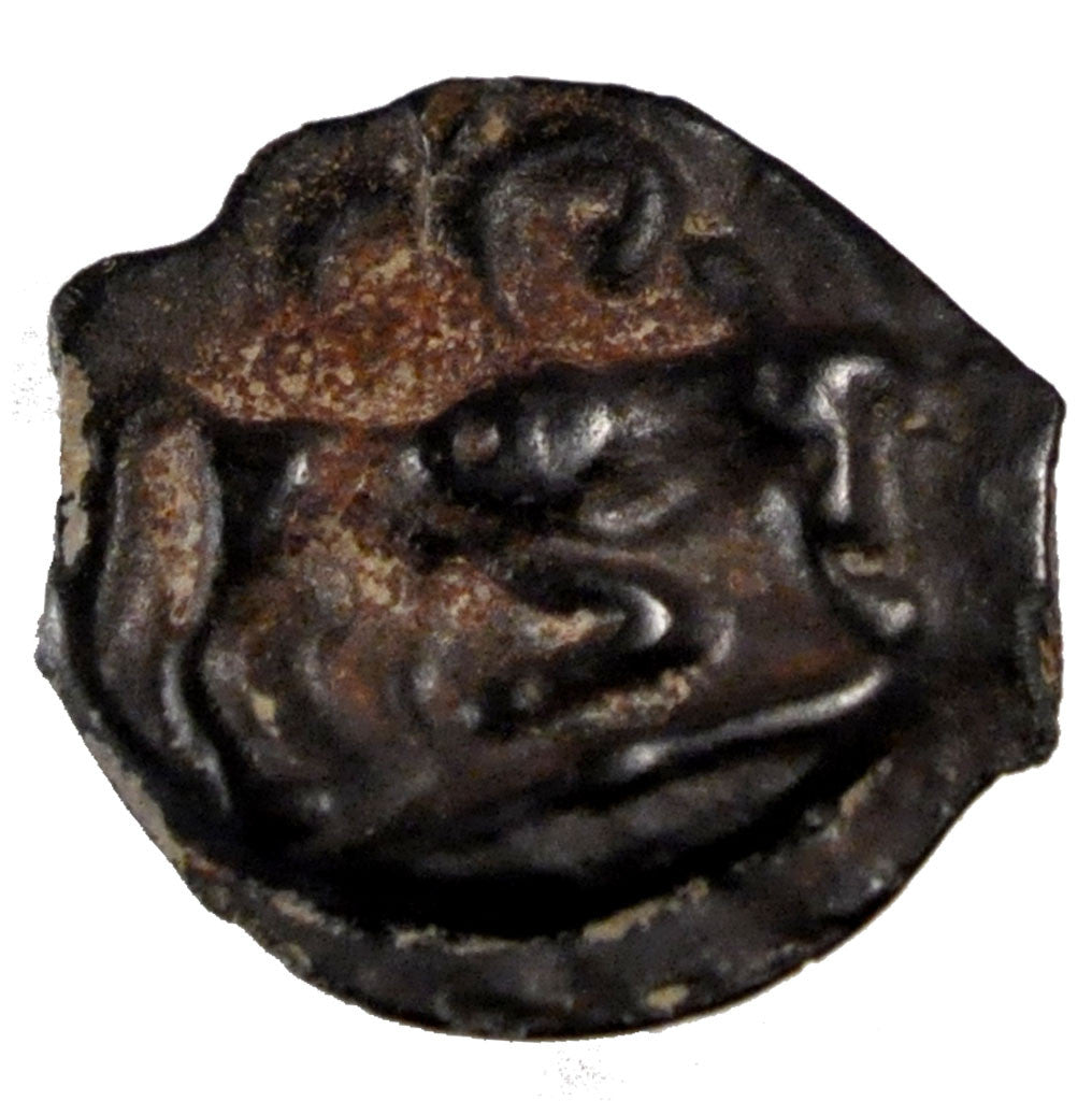 Haute et Moyenne Seine, Potin