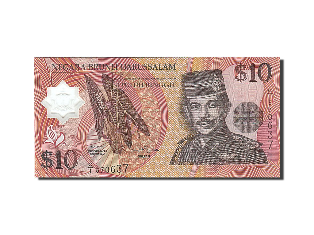 Banknote, BRUNEI, 10 Ringgit, 1996, UNC(65-70)