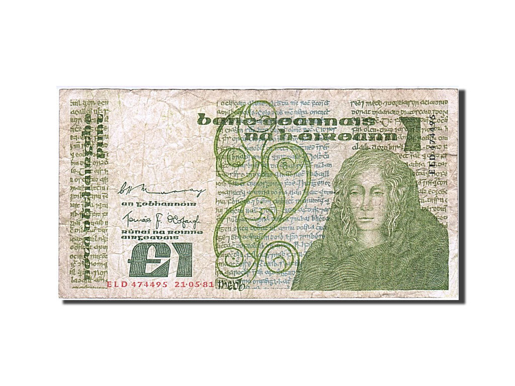 Ireland - Republic, 1 Pound, 1981, KM #70a, 1981-05-21, F(12-15), ELD 474495