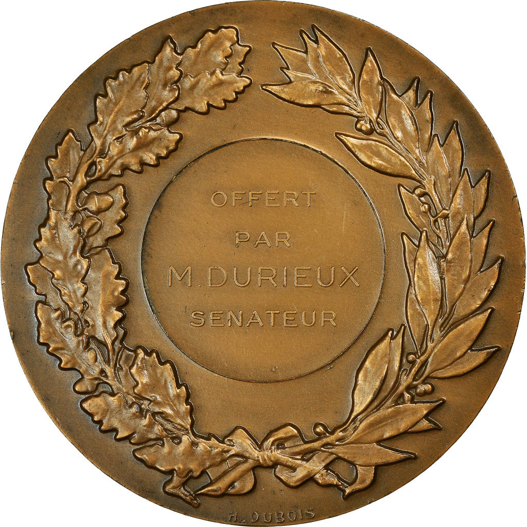França, Medal, Offert par M. Durieux, Sénateur, Coeffin, AU(55-58), Bronze