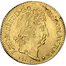 Coin, France, Louis XIV, Louis d'or aux 8 L et aux insignes, Louis d'Or, 1701