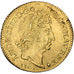 Coin, France, Louis XIV, Louis d'or aux 8 L et aux insignes, Louis d'Or, 1701