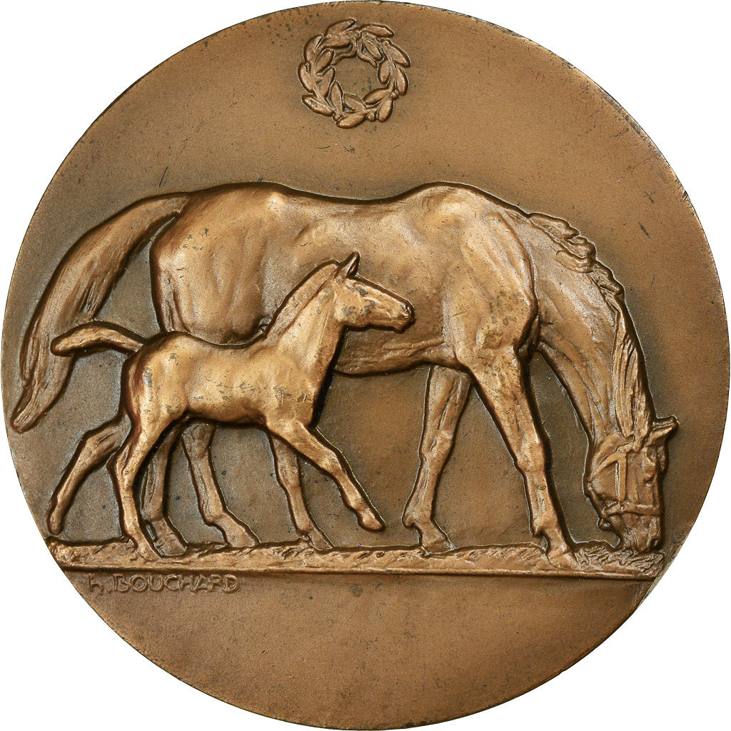 France, Medal, Chevaux, Offert par M. de Hauteclocque, Sénateur, 1974