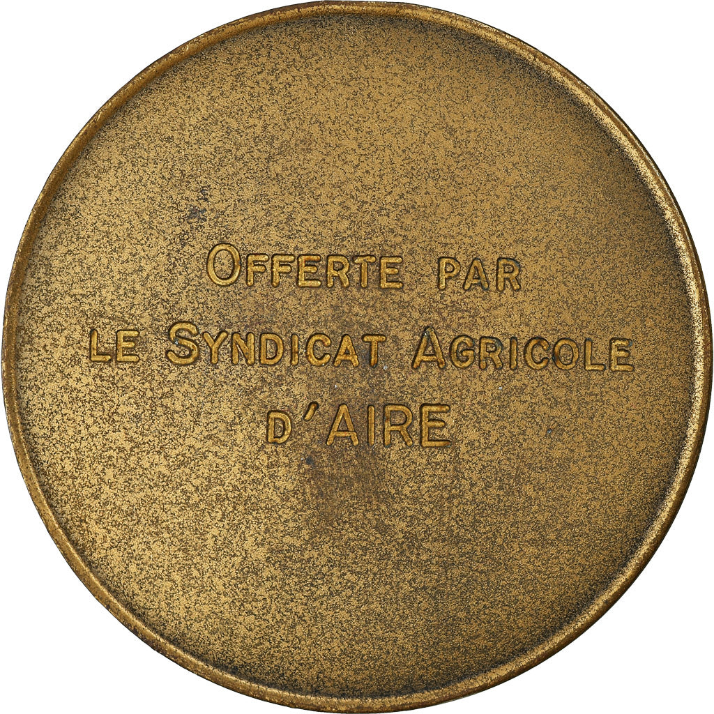 France, Medal, Agriculture, Offert par le Syndicat Agricole d'Aire