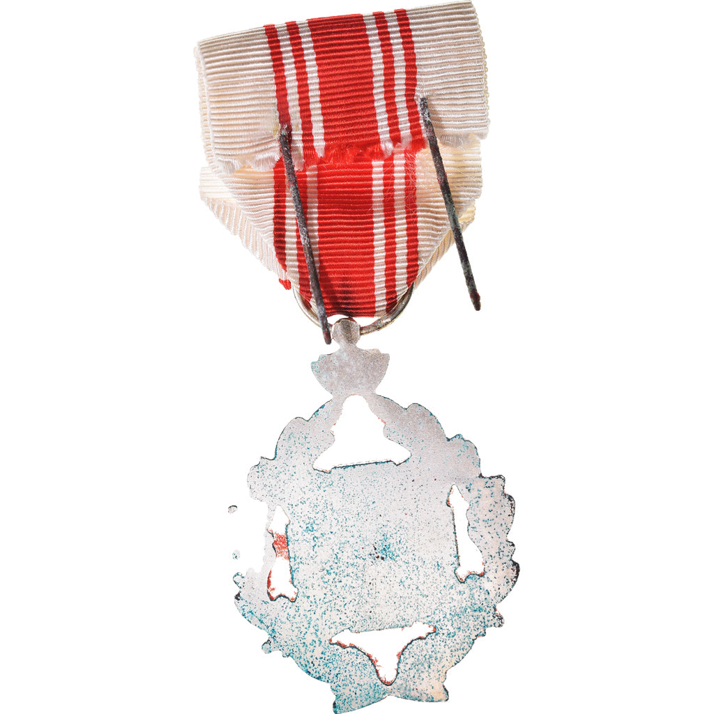 Belgium, Croix Rouge, Donneurs de Sang Civils, Medal, Very Good Quality