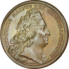 France, Medal, Louis XIV, Bataille de Neerwinden, History, 1693, Mauger