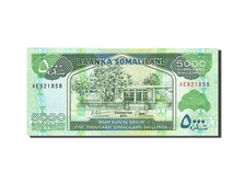 Somaliland, 5000 Shillings, 2011, 2011, NEUF