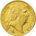 Louis XVIII, 20 Francs or buste nu, Nantes