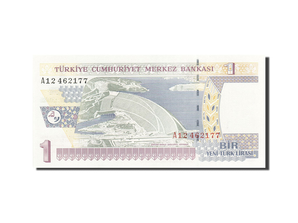 Banknote, Turkey, 1 New Lira, 2005, 2005, KM:216, UNC(65-70)