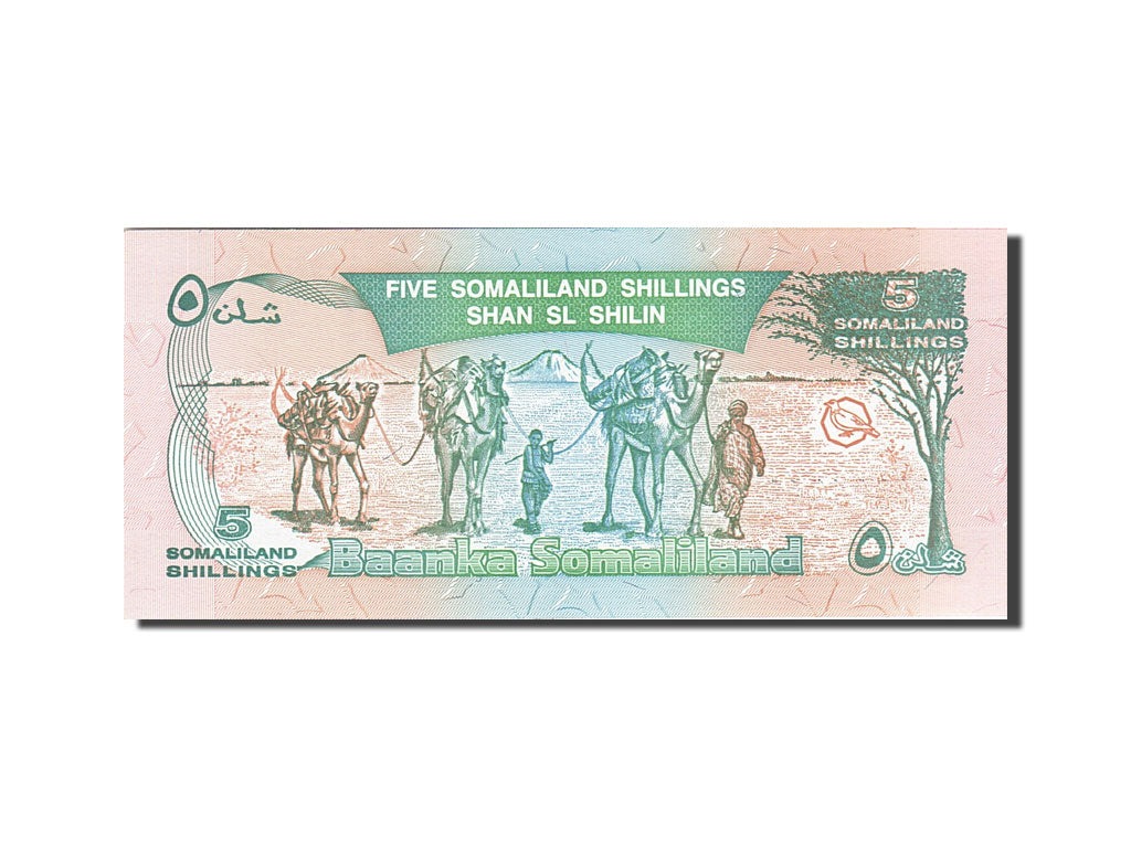 Banknote, Somaliland, 5 Shillings = 5 Shilin, 1994, 1994, KM:1a, UNC(63)