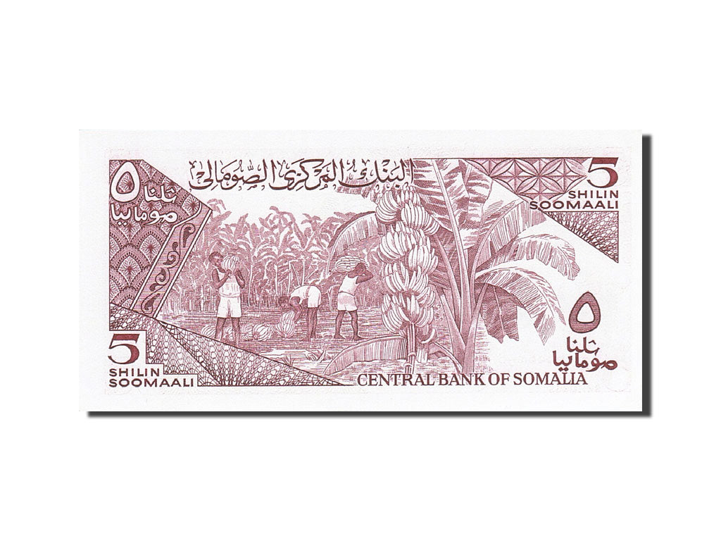 Banknote, Somalia, 5 Shilin = 5 Shillings, 1982-1983, 1987, KM:31c, UNC(65-70)