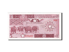 Biljet, Somalië, 5 Shilin = 5 Shillings, 1982-1983, 1983, KM:31a, SUP