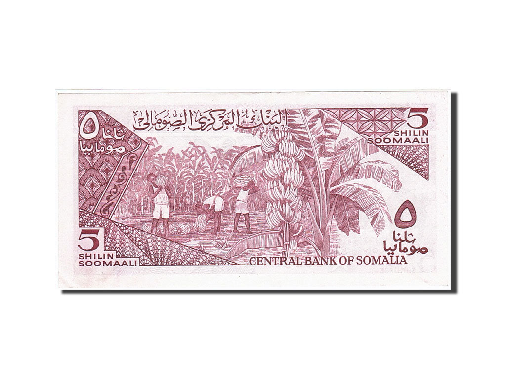 Billet, Somalie, 5 Shilin = 5 Shillings, 1982-1983, 1983, KM:31a, SUP