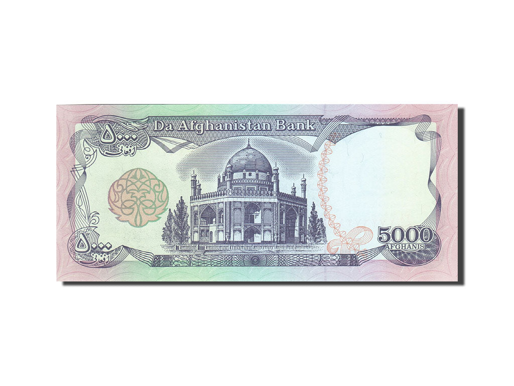 Banknote, Afghanistan, 5000 Afghanis, 1993, 1993, KM:62, UNC(65-70)