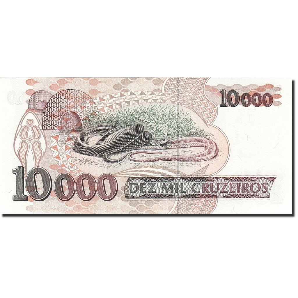 Banknote, Brazil, 10,000 Cruzeiros, 1990-1993, 1993, KM:233c, UNC(65-70)