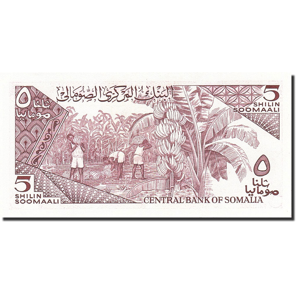 Banknote, Somalia, 5 Shilin = 5 Shillings, 1983, 1987, KM:31c, UNC(63)