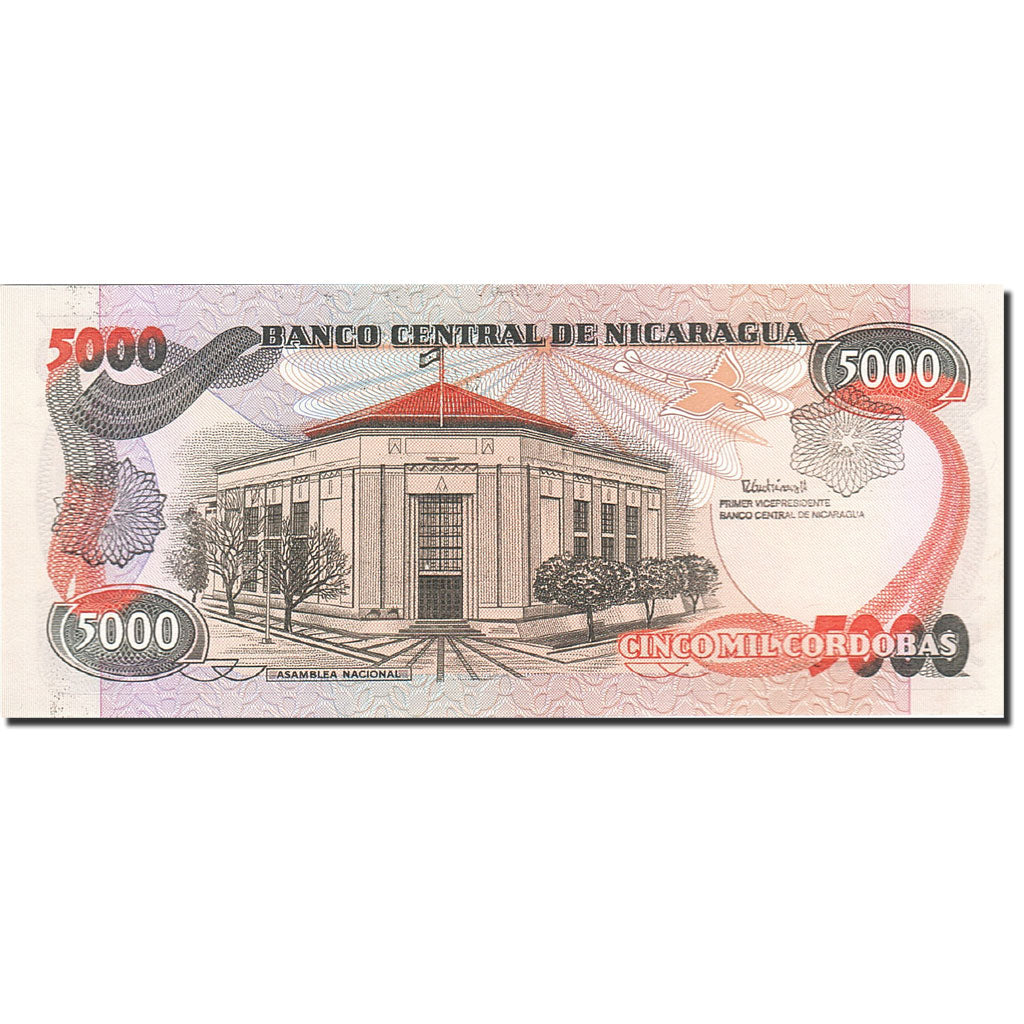 Banknote, Nicaragua, 5000 Cordobas, 1988-1989, Undated (1988), KM:157