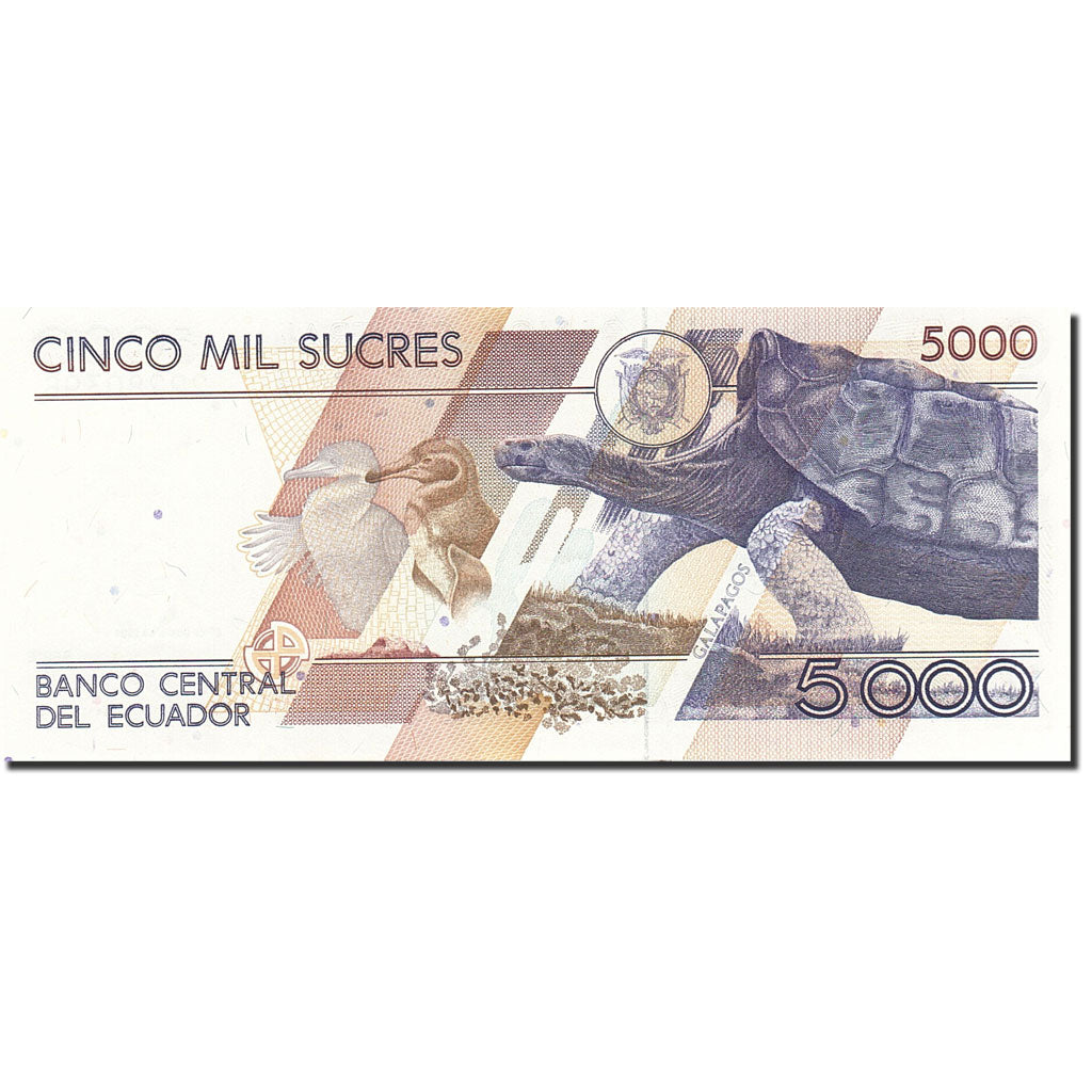 Ecuador, 5000 Sucres, 1991-1995, KM:128a, 1991-06-21, UNC(65-70)