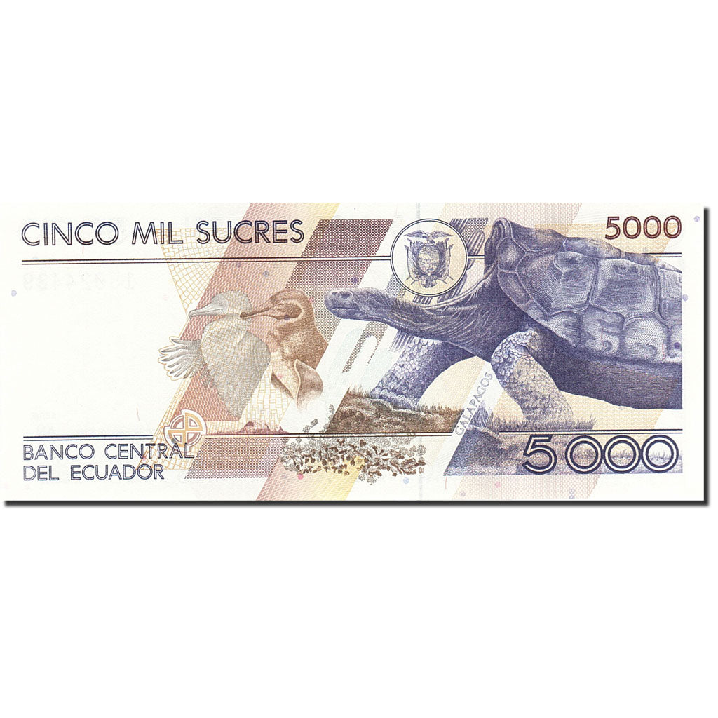 Banknote, Ecuador, 5000 Sucres, 1991-1995, 1999-03-26, KM:128c, UNC(63)