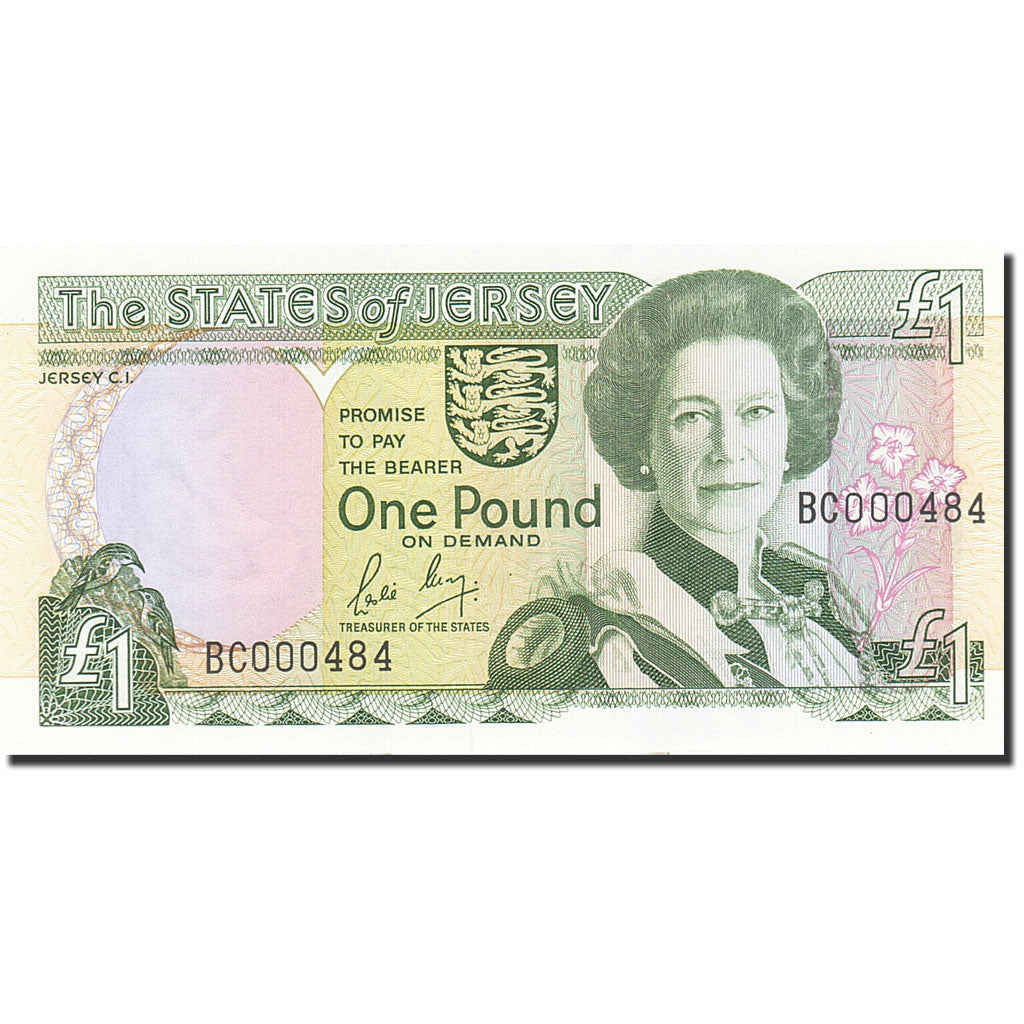 Banknote, Jersey, 1 Pound, 1989, Undated (1989), KM:15a, UNC(65-70)