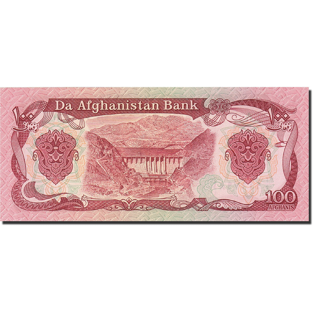 Banknote, Afghanistan, 100 Afghanis, 1979-1991, 1991, KM:58c, UNC(65-70)