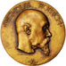 Russia, Medal, Nicholas Roerich, Museum, Philsophe, Peinture, Dropsy, AU(55-58)