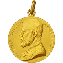 La Guinée Française à Noël Ballay, Médaille en or