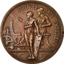 France, Medal, Société Nationale des Sciences et des Arts Industriels, 1886