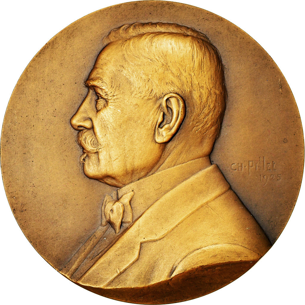 France, Medal, Hémard.Ch.Ariste, Conseiller Général, Seine, Politics