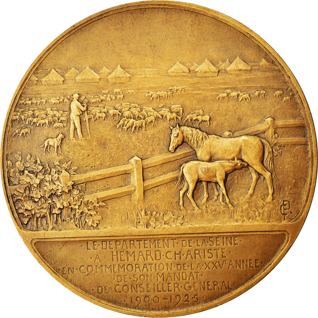 France, Medal, Hémard.Ch.Ariste, Conseiller Général, Seine, Politics