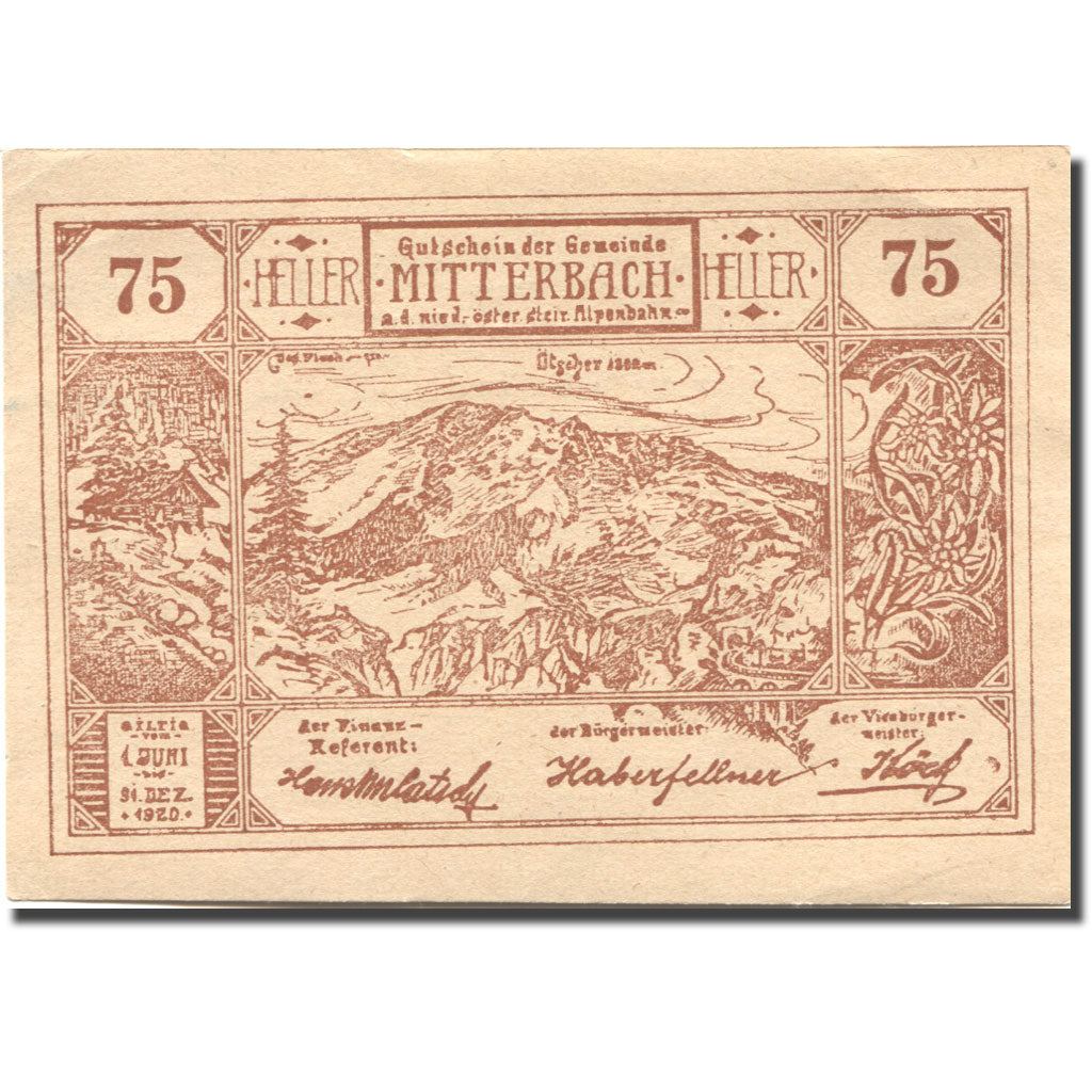 Billet, Autriche, Mitterbach, 75 Heller, montagne, 1920 SPL Mehl:FS 618b