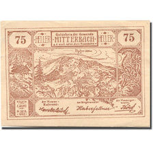 Billet, Autriche, Mitterbach, 75 Heller, montagne, 1920 SPL Mehl:FS 618b