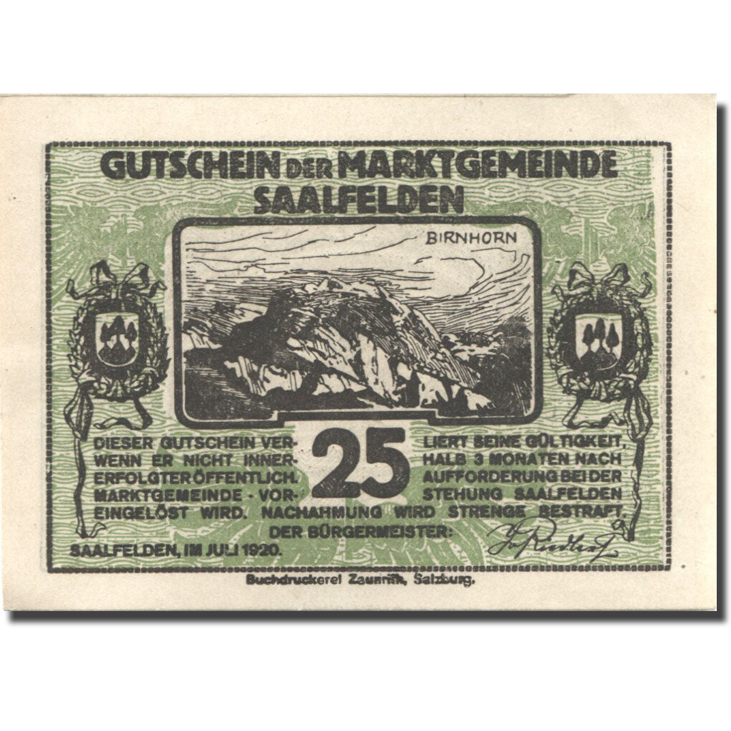 Banknote, Austria, Saalfelden, 25 Heller, montagne, 1920, UNC(63), Mehl:FS 859b