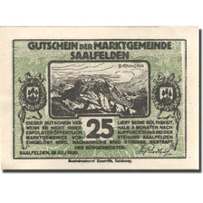 Banknote, Austria, Saalfelden, 25 Heller, montagne, 1920, UNC(63), Mehl:FS 859b