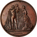 France, Medal, Napoléon III, Baptème du Prince Impérial, History, 1856