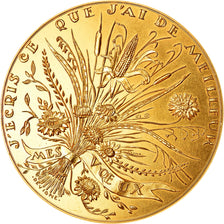Frankrijk, Medaille, Nouvelle Année, Voeux, Fleurs, 1974, Devigne, PR+, Gilt