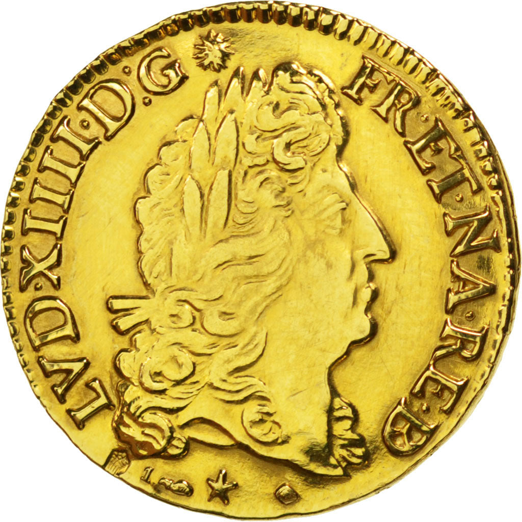 FRANCE, Louis d'Or, 1691, Pau, AU(55-58), Gold, Gadoury #251, 7.68