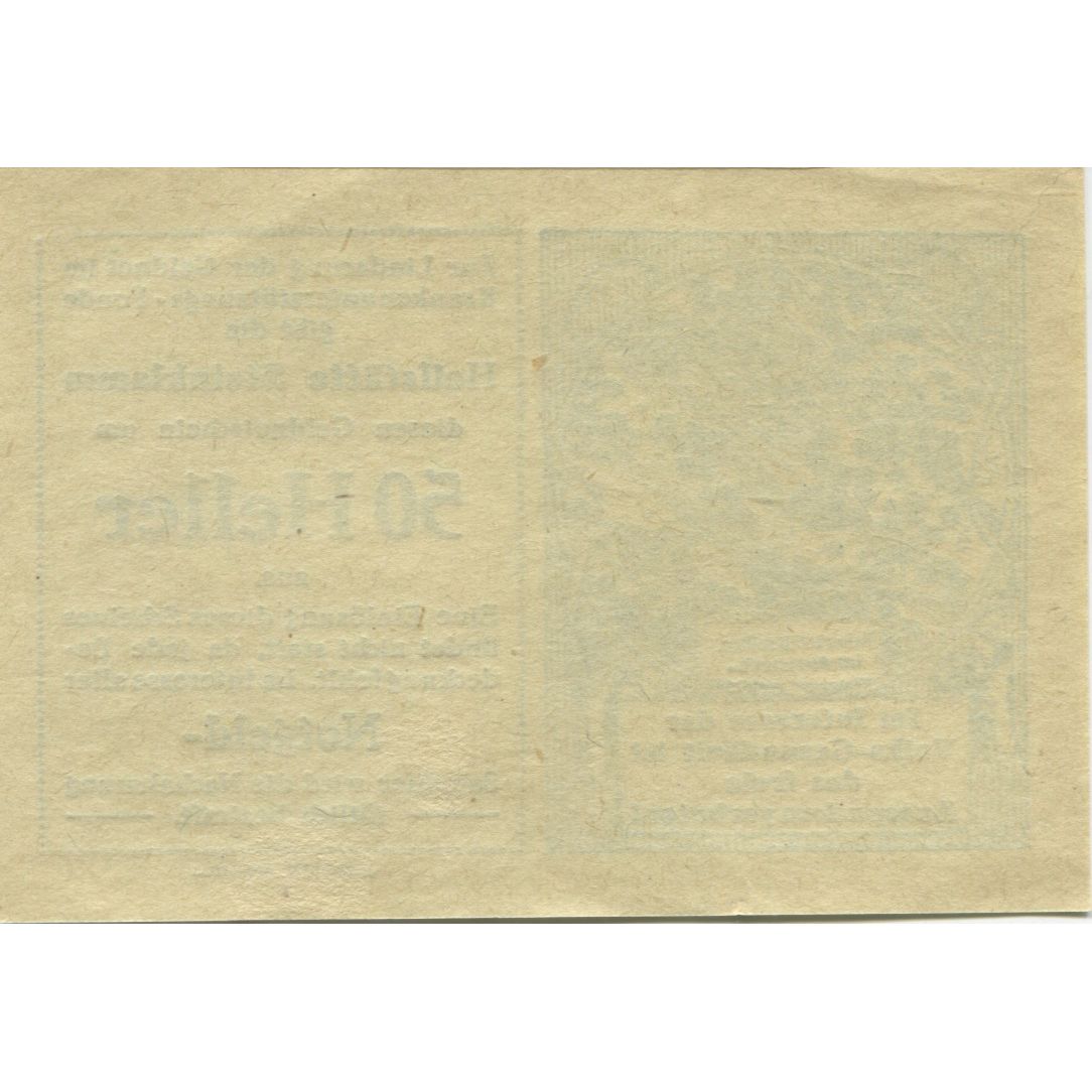 Banknote, Austria, Steinklamm, 50 Heller, parchemin, 1920, UNC(63), Mehl:FS 1031