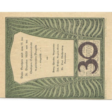 Banknote Austria Schwanenstadt, 30 Heller, château, 1920 UNC(63) Mehl:FS 977IIa