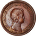 Francia, medalla, Louis XIV, Prise de Piombino et de Portolongone, History