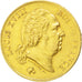 FRANCE, Louis XVIII, 40 Francs, 1818, Lille, KM #713.6, EF(40-45), Gold,...