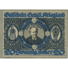 Banconote, Austria, Krieglach, 20 Heller, Texte 1920-10-31, SPL Mehl:FS 480a