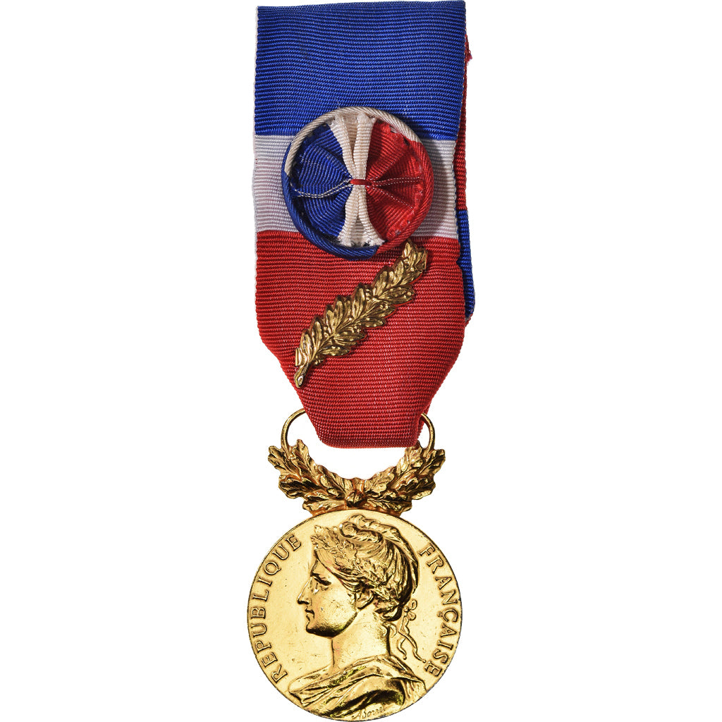 France, Médaille d'honneur du travail, Médaille, 1991, Excellent Quality
